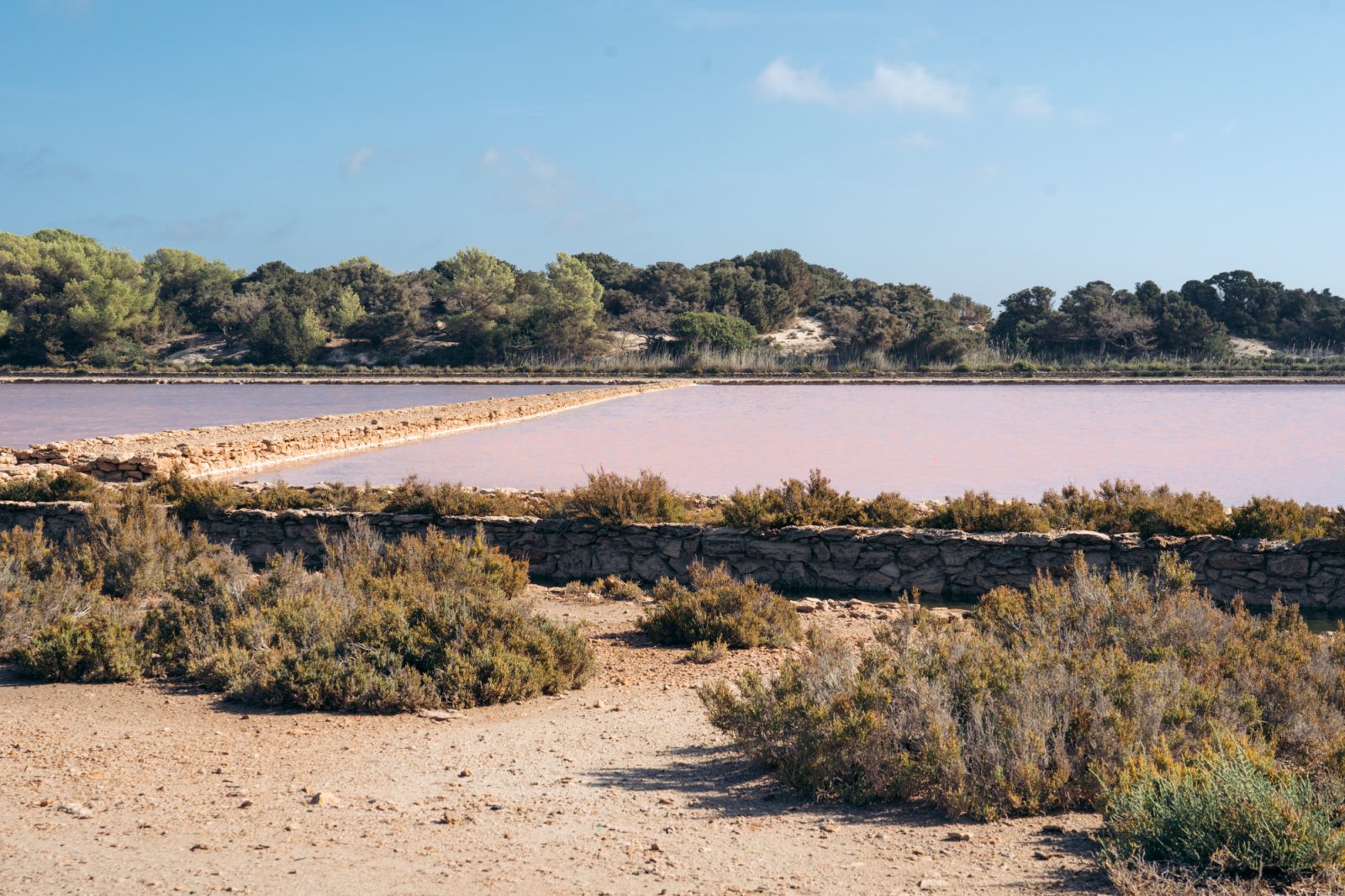 las Salinas de formentera